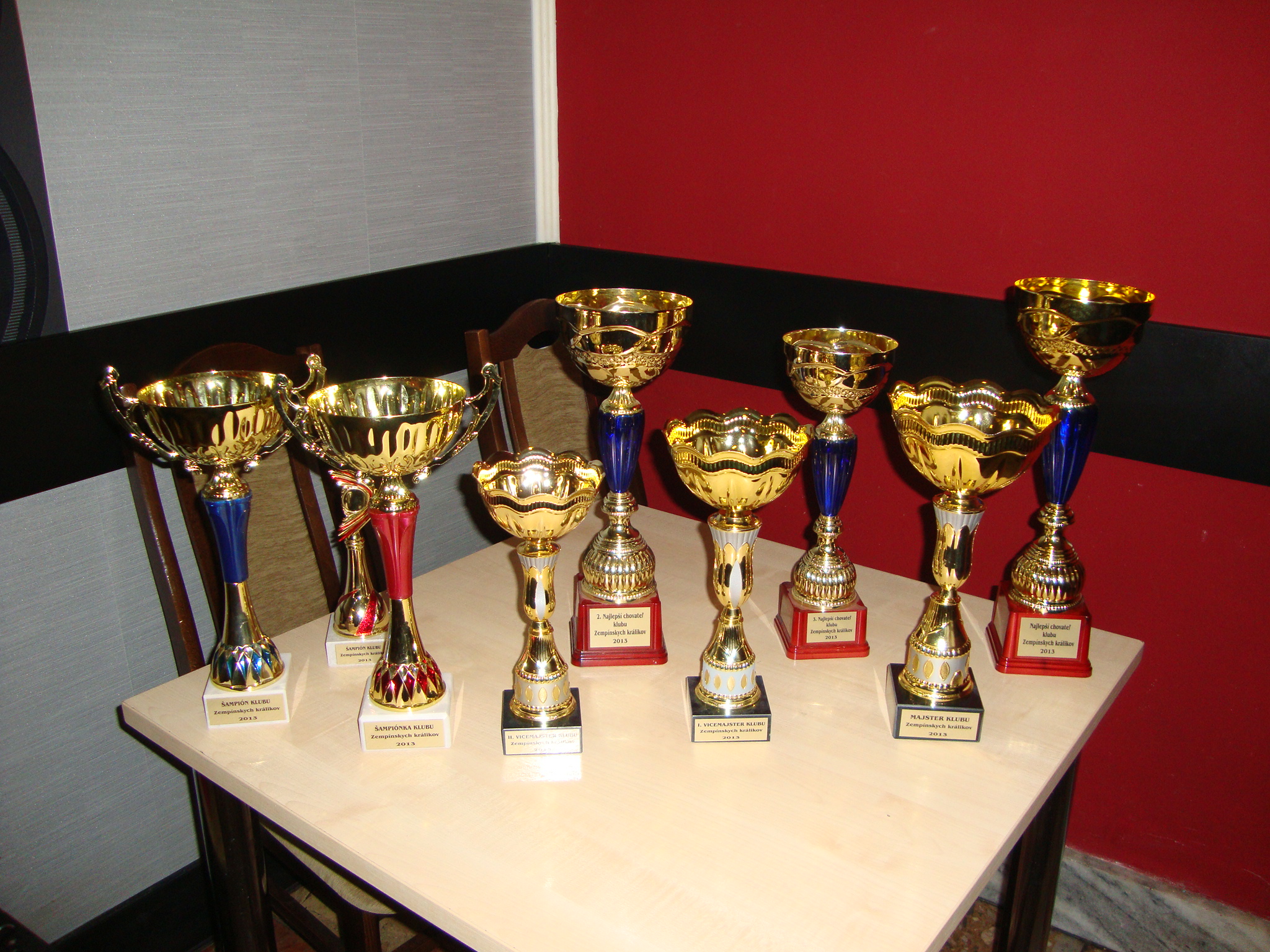 Klubová súťaž za r. 2013